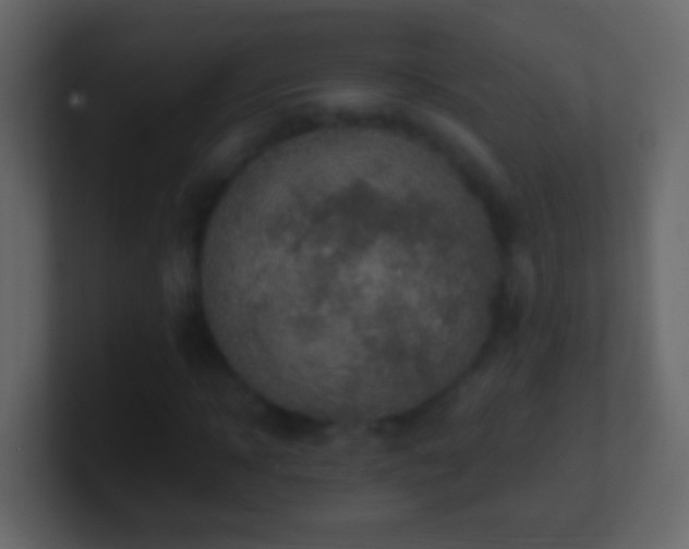 X0000101410918200807071251