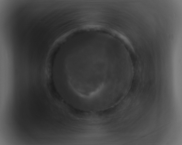 X0000101410920200807071251