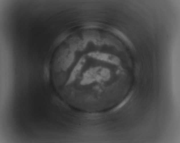 X0000101410921200807071251