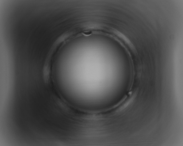 X0000101410922200807071252