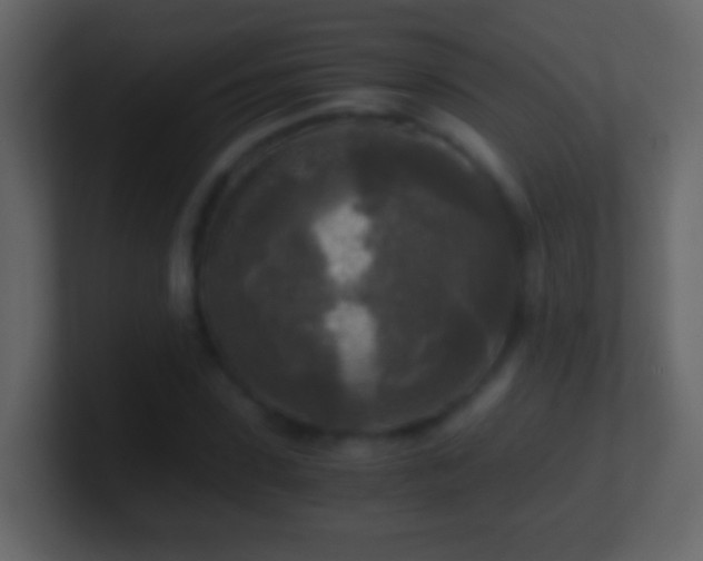 X0000101410923200807071252