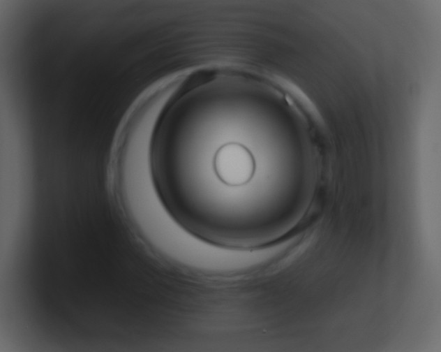 X0000101410924200807071252