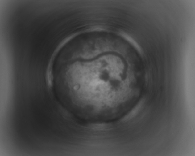 X0000101410925200807071252