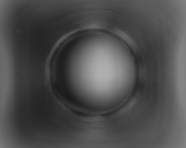 X0000101410926200807071252