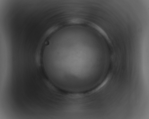 X0000101410930200807071252