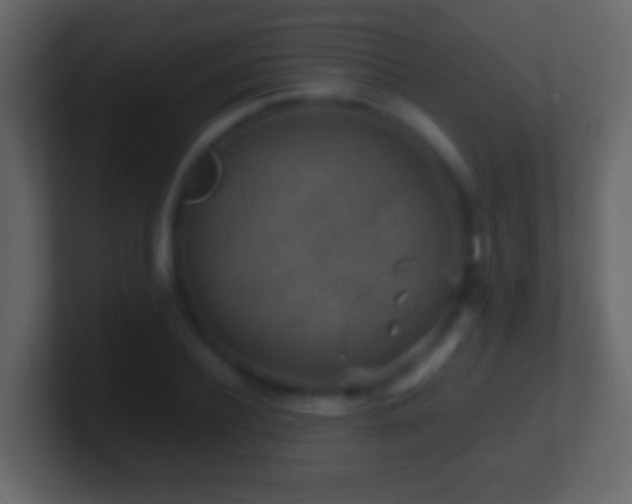 X0000101410932200807071252