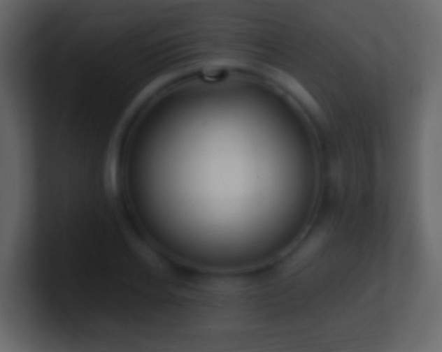 X0000101410934200807071252