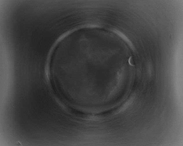 X0000101410935200807071252