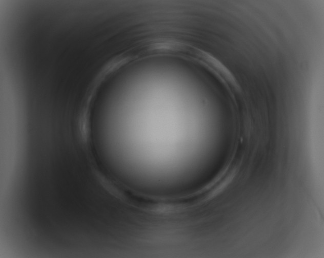 X0000101410938200807071252