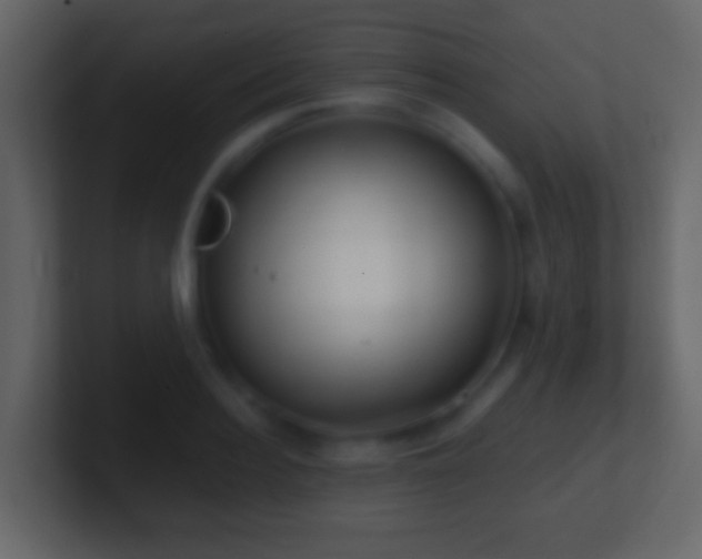 X0000101410940200807071252