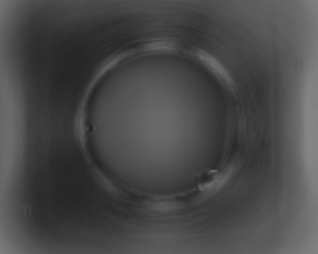 X0000101410941200807071252