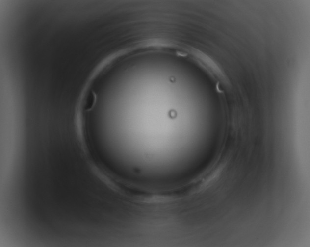 X0000101410942200807071252