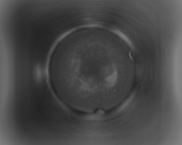 X0000101410943200807071252