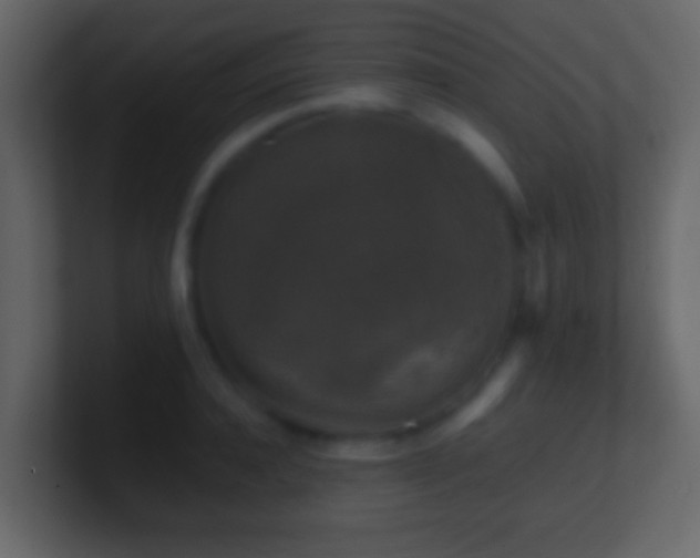 X0000101410944200807071252