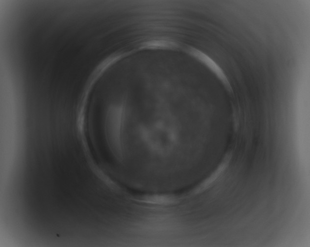 X0000101410946200807071252