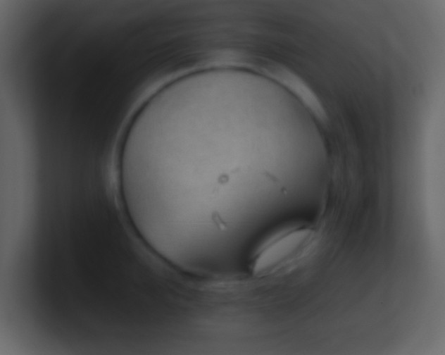 X0000101410950200807071252