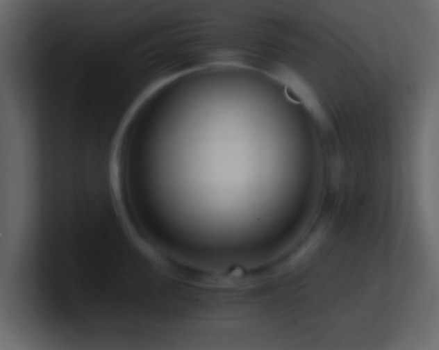 X0000101410955200807071252