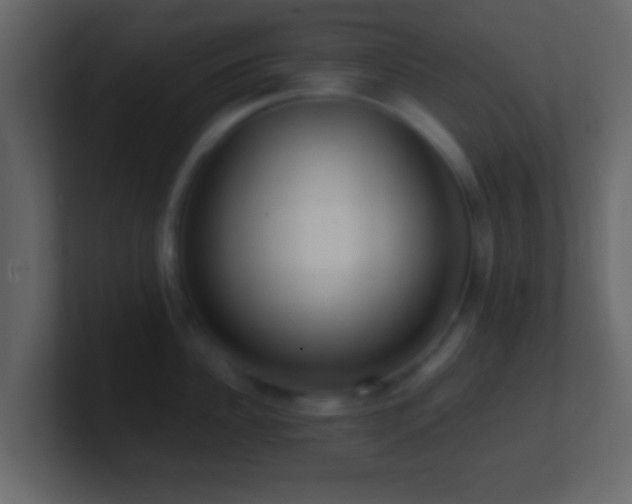 X0000101410956200807071252