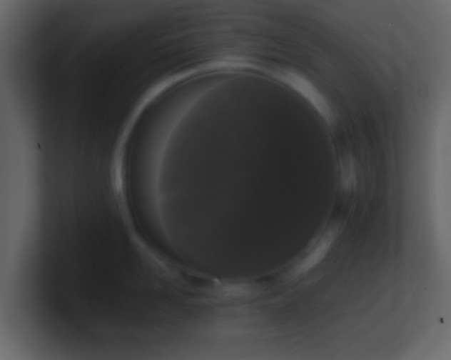 X0000101410958200807071252