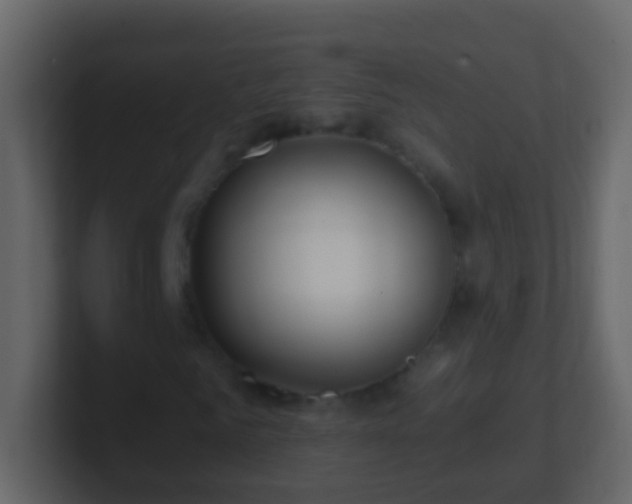 X0000101410961200807071251