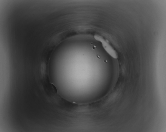 X0000101410964200807071251