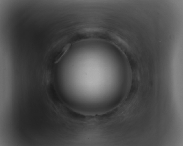 X0000101410965200807071251