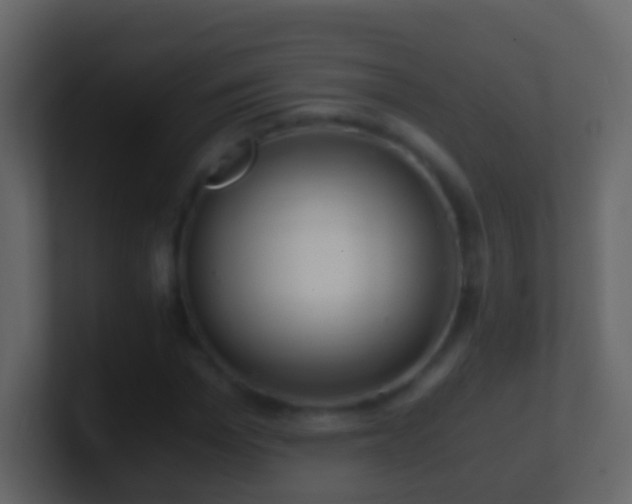 X0000101410969200807071251