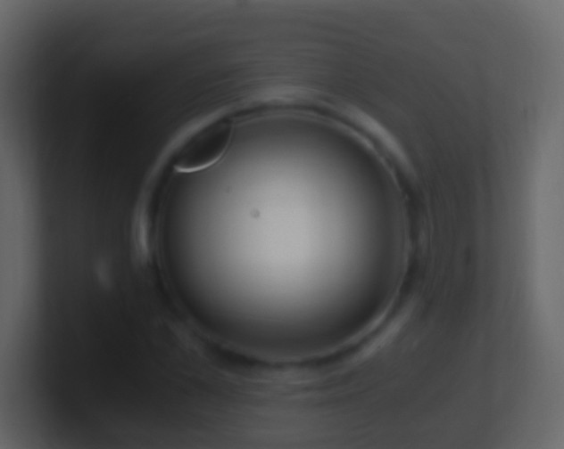 X0000101410973200807071251