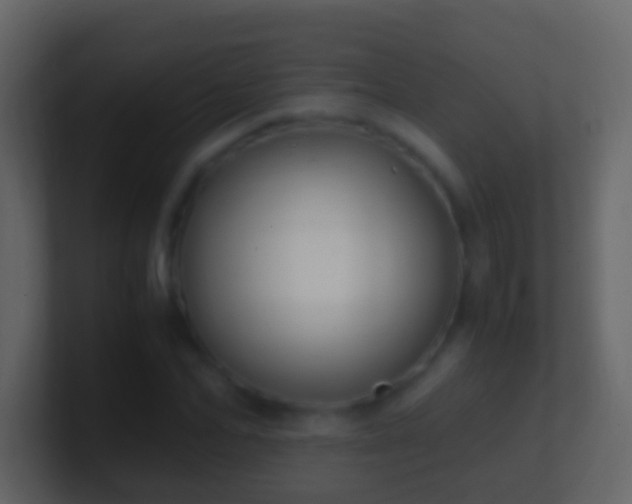 X0000101410974200807071251