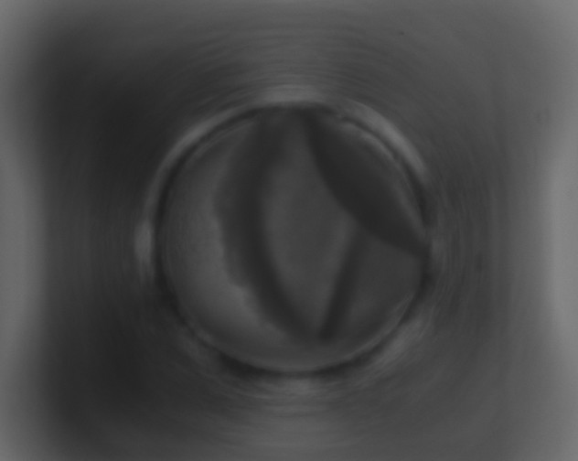 X0000101410975200807071251
