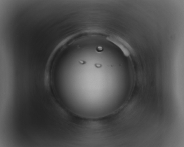 X0000101410976200807071251