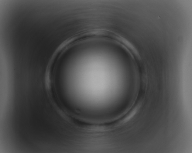 X0000101410981200807071251