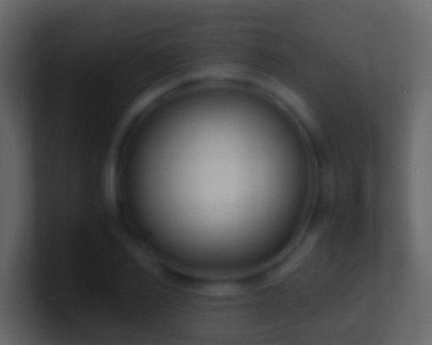 X0000101410982200807071251