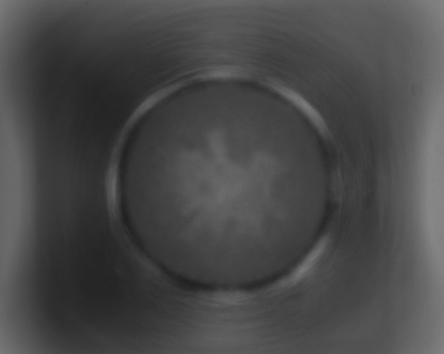 X0000101410983200807071251