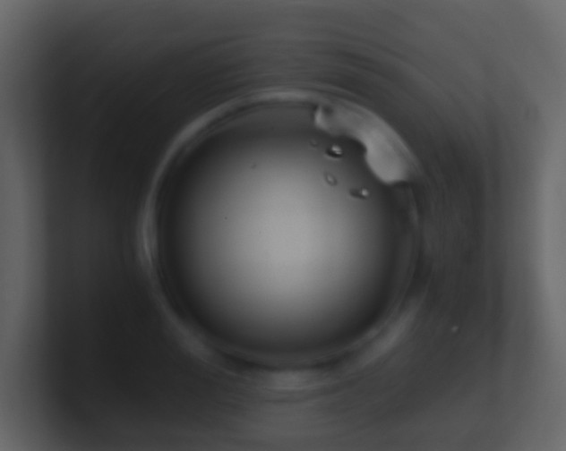 X0000101410988200807071251