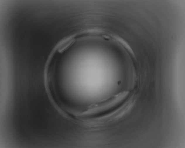 X0000101410989200807071251