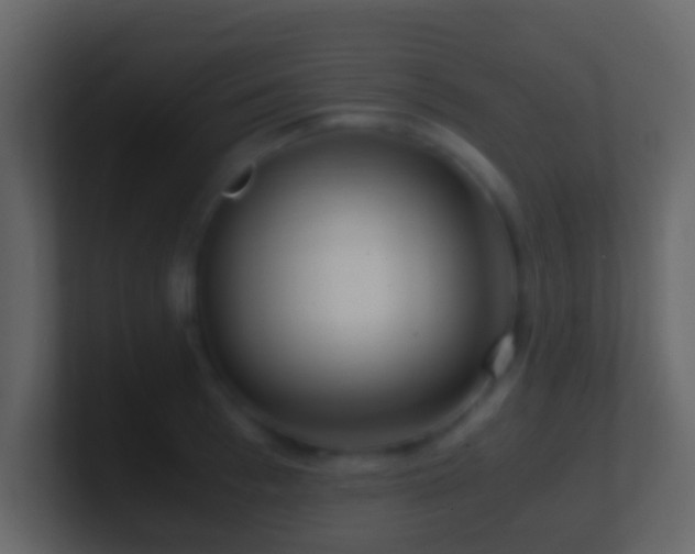 X0000101410993200807071251