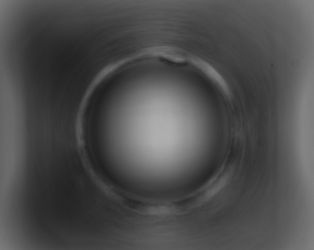 X0000101410997200807071251