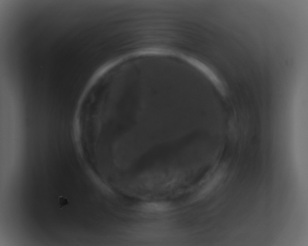 X0000101410998200807071251