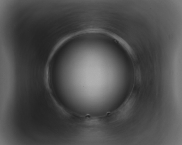 X0000101411006200807071251