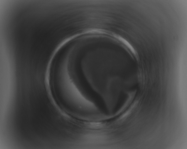 X0000101411007200807071251