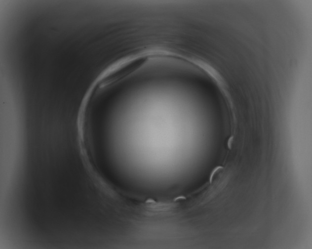 X0000101411008200807071251