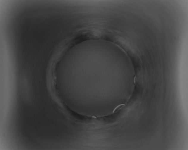 X0000101411009200807071250