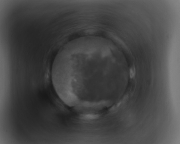 X0000101411011200807071250