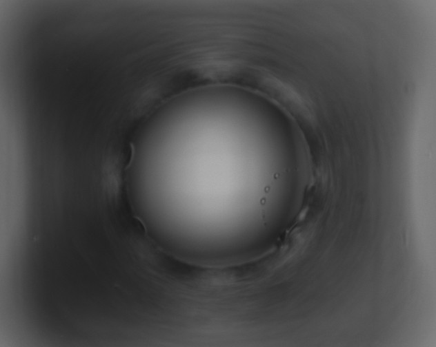 X0000101411012200807071250