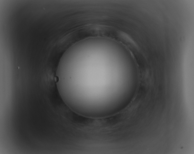 X0000101411013200807071250