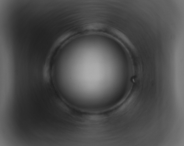 X0000101411018200807071250