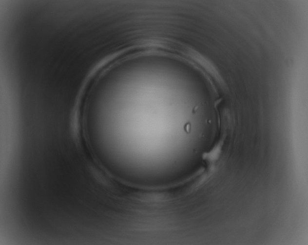 X0000101411020200807071250
