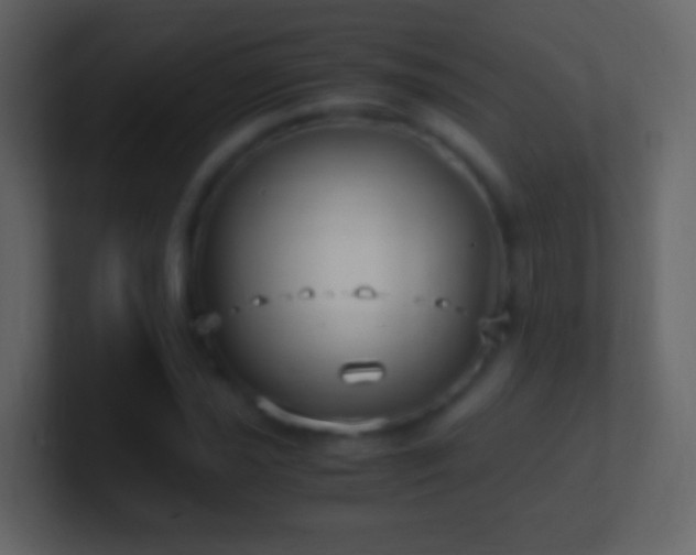X0000101411021200807071250