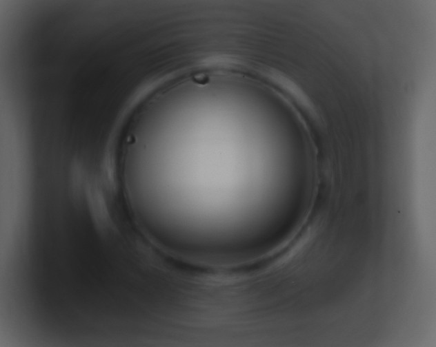 X0000101411022200807071250
